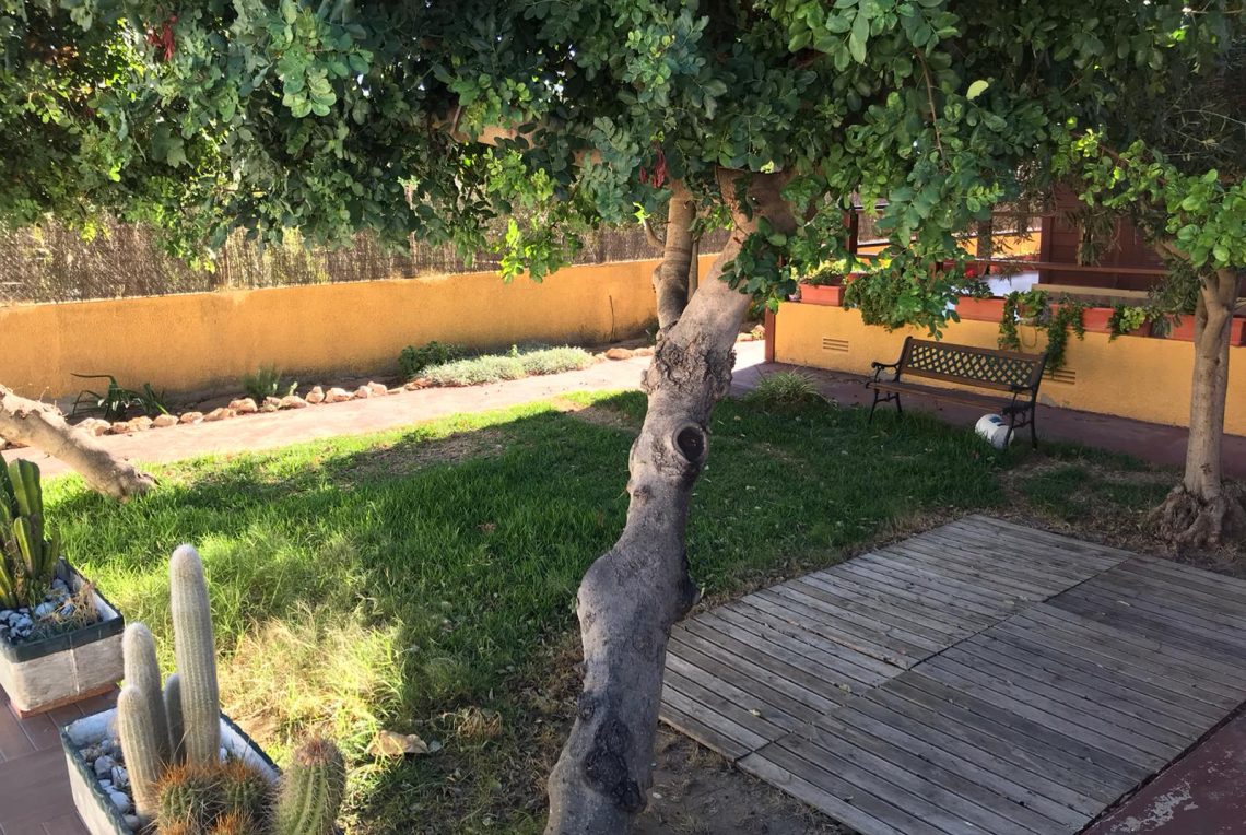 5e053c5f-a341-4687-aea7-6c1d44a449f9