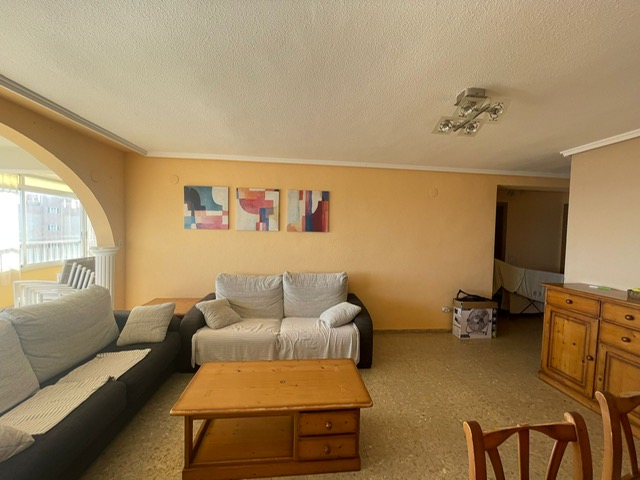 PHOTO-2026-02-06-13-23-47 (8)